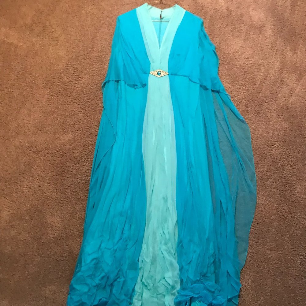 Vintage Womans Dress